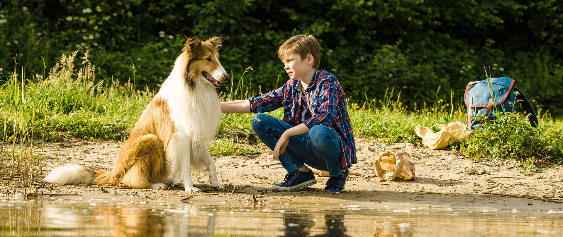 Lassie kommer hjem