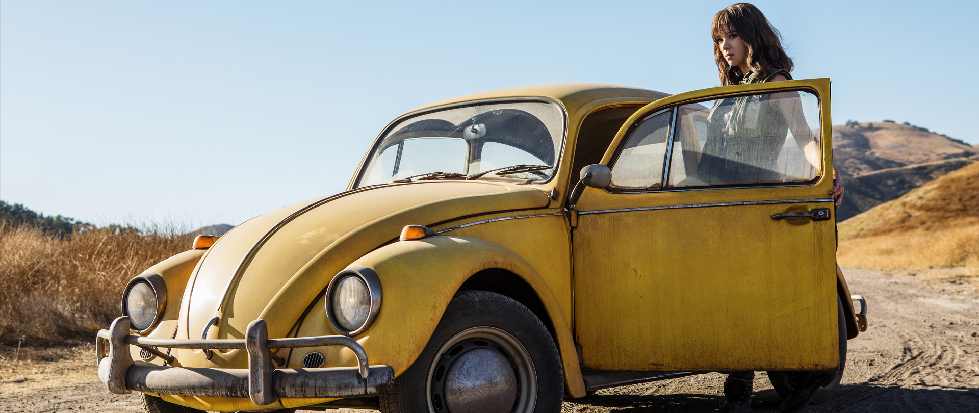 Bumblebee