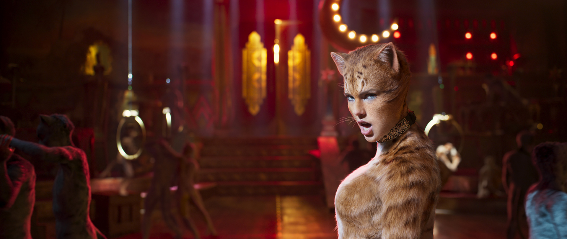 Cats