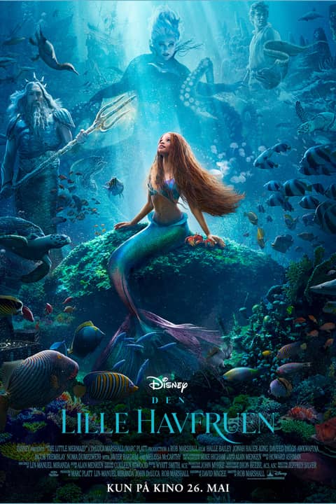 The Little Mermaid (Original tale)