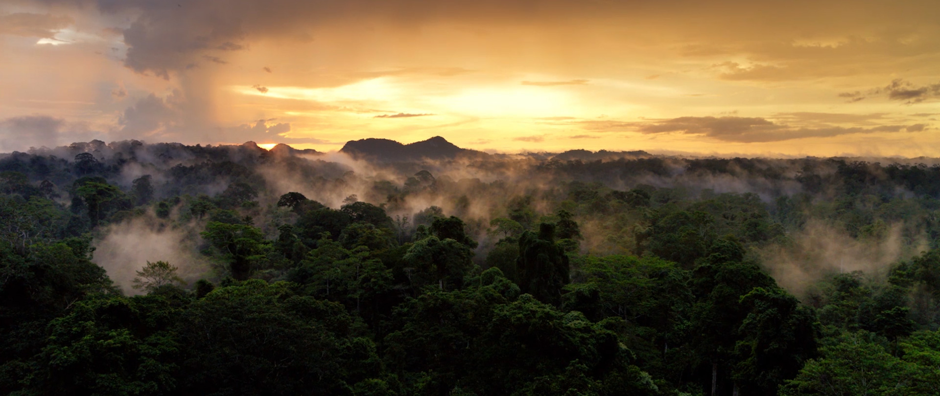 David Attenborough: A Life on Our Planet