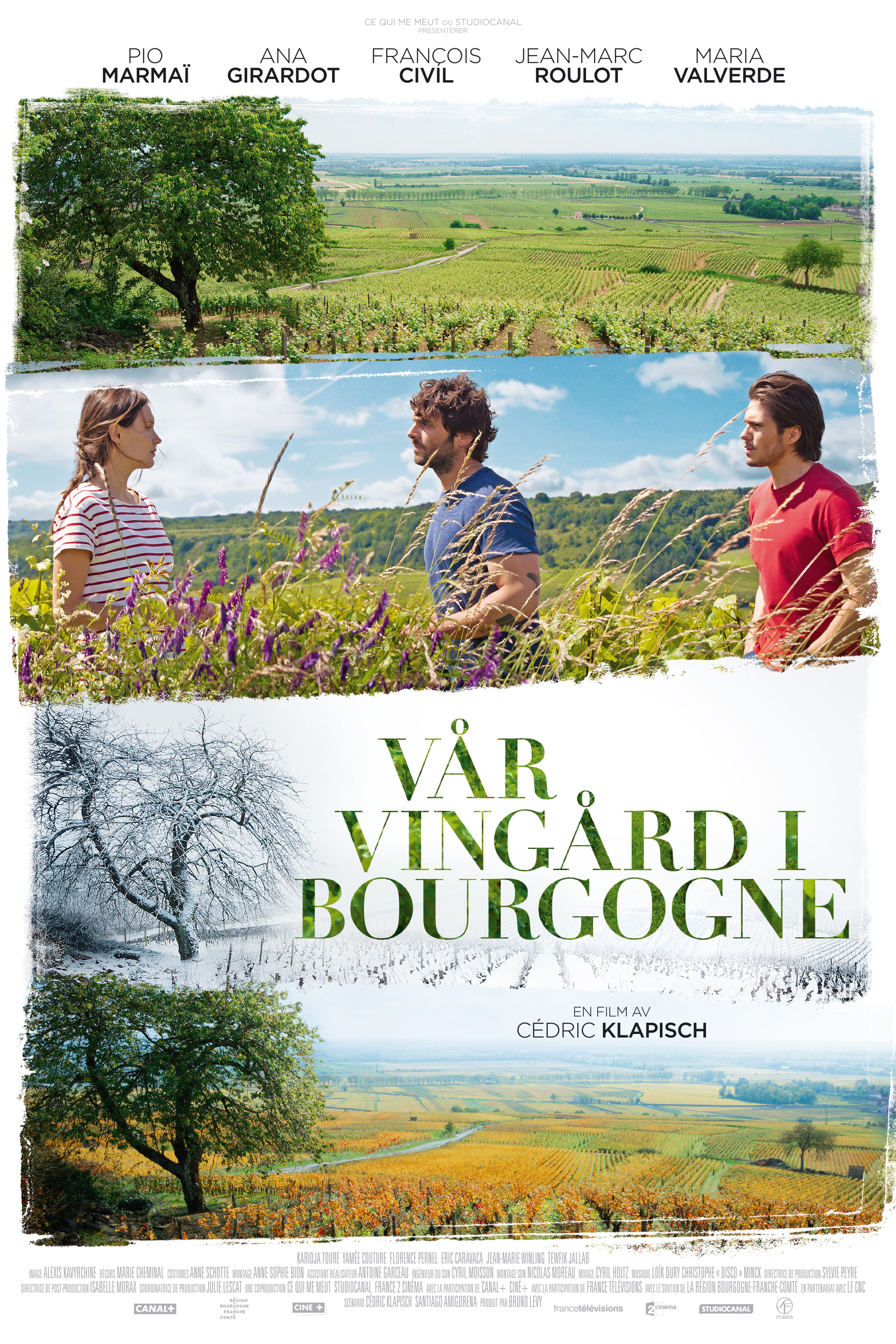 Vår vingård i Bourgogne